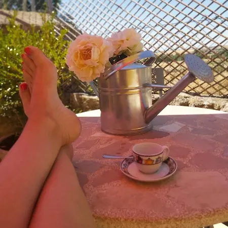 El Rincon De Piron Losana de Piron