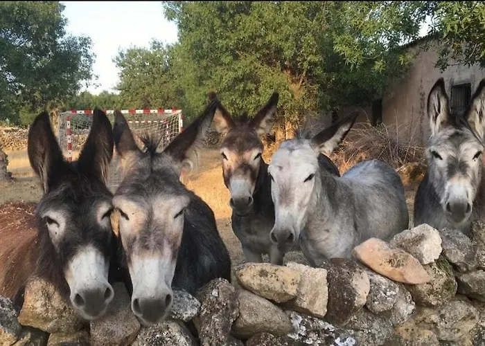 Prázdninový dům El Rincon De Piron Losana de Piron